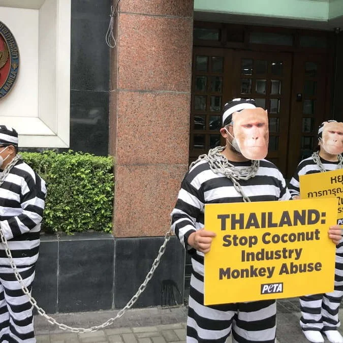 PETA protest at Thailand embassy