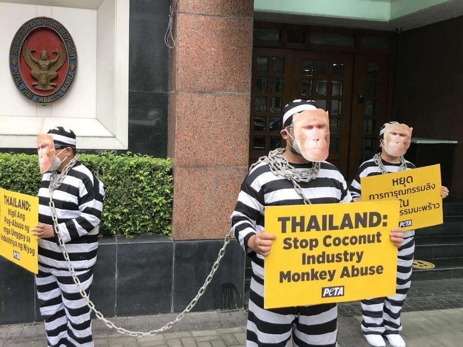 PETA protest at Thailand embassy
